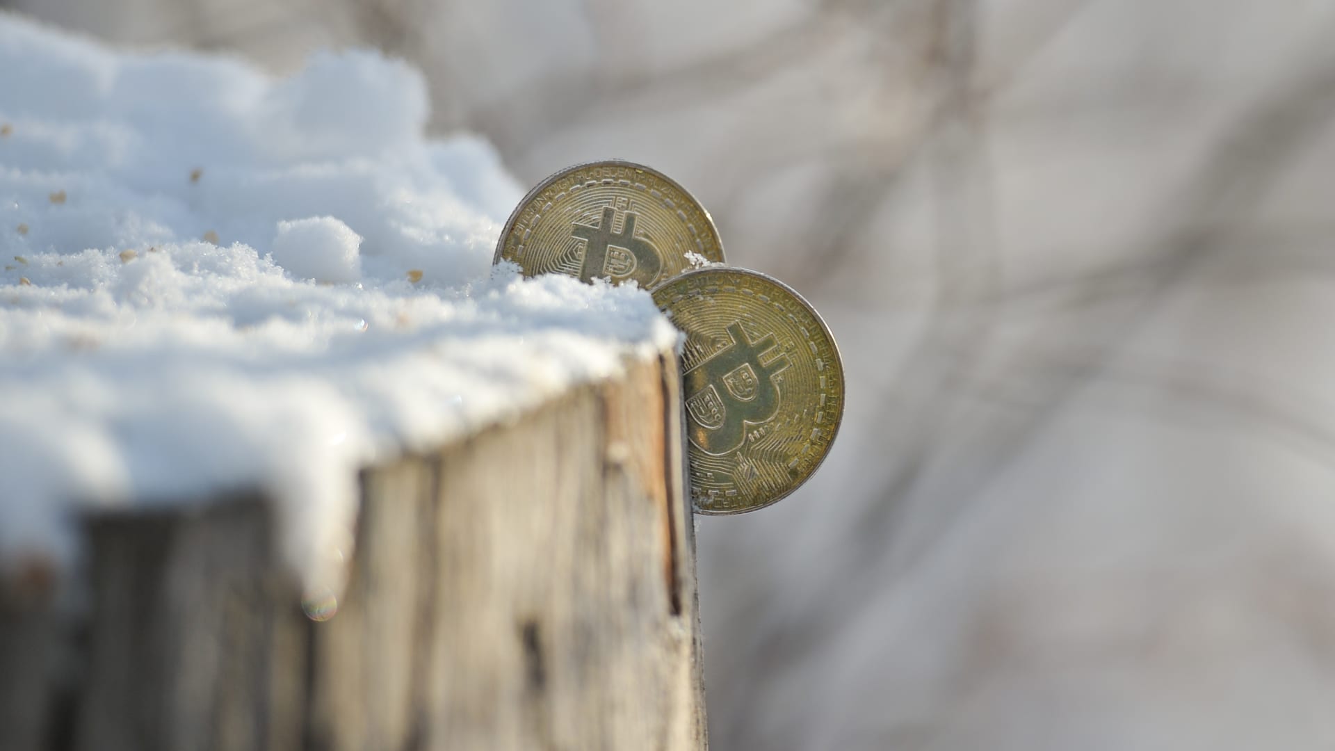 Bitcoin Has Crashed 68% From Its Peak — But One Bull Says The Latest Crypto Winter Is A 'Warm Winter'