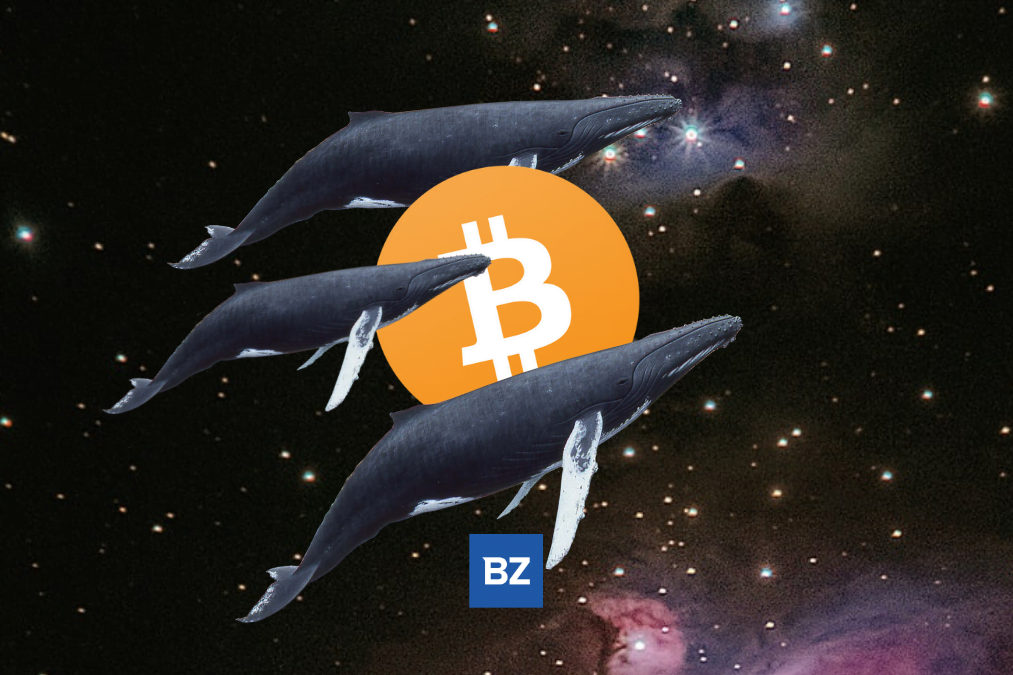 Bitcoin Whale Moves 1,651 Btc Off Binance