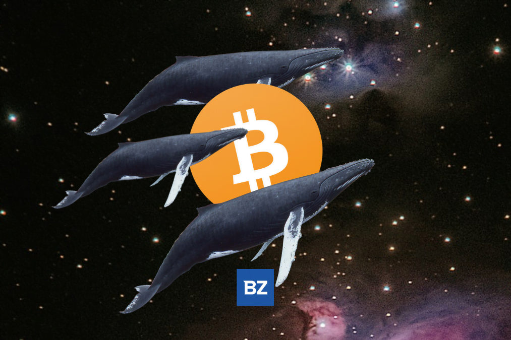 Bitcoin Whale Moves 3,284 Btc Off Coinbase - Bitcoin  (Btc/Usd)