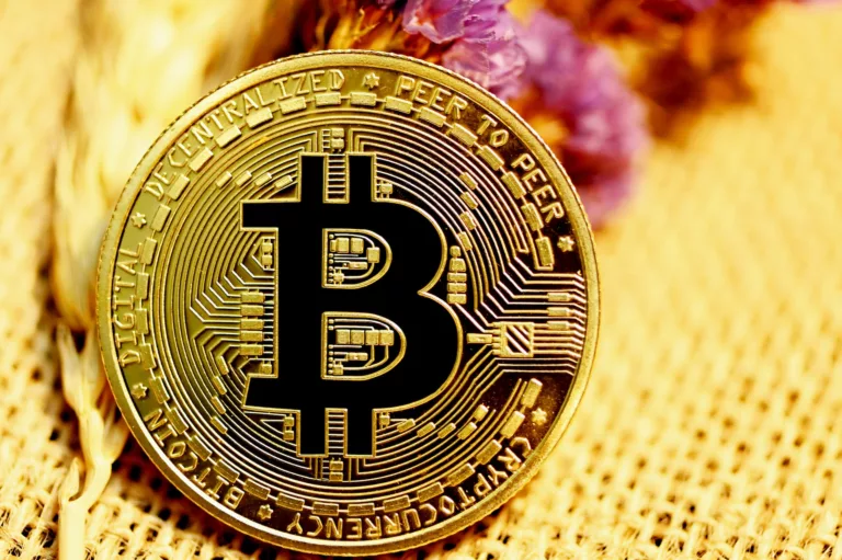 Study Behind Bitcoin Investment Becoming Very Popular - Salon Prive Mag