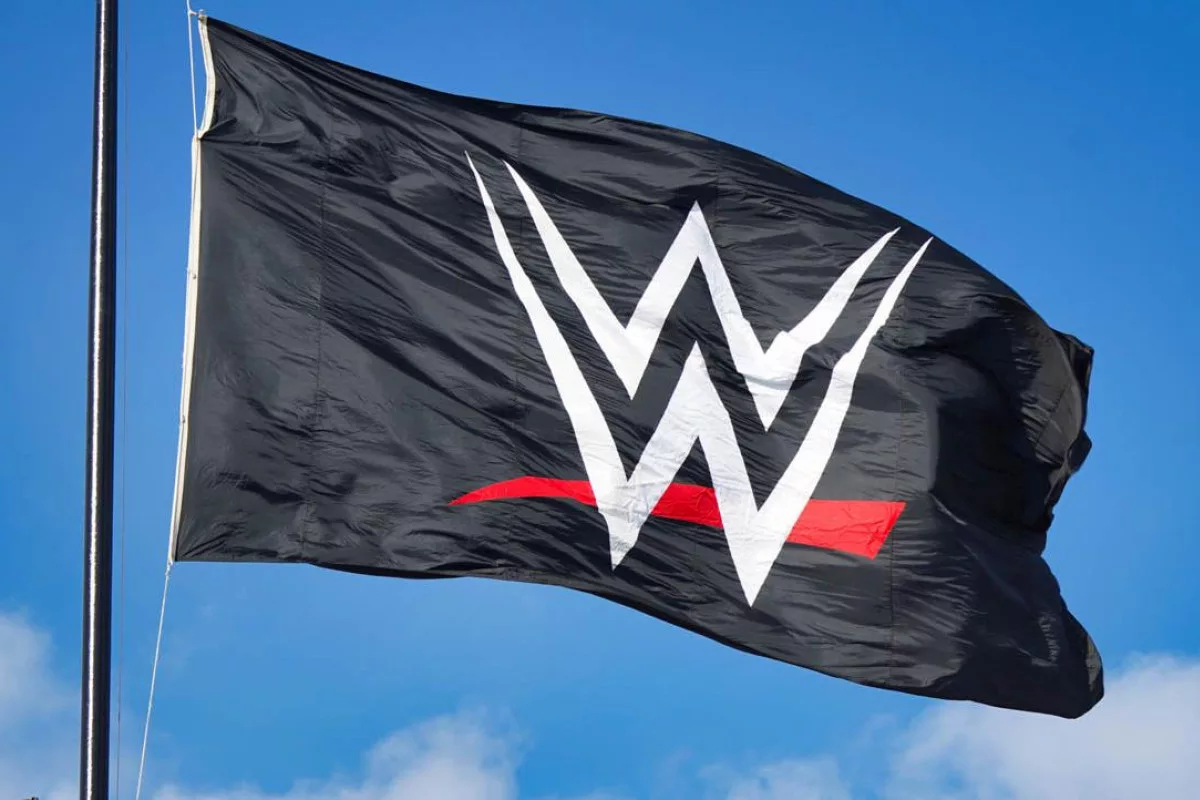 Wwe Trademarks Its Logo For Multiple Purposes Including Nfts And 'Virtual Reality Game Services'