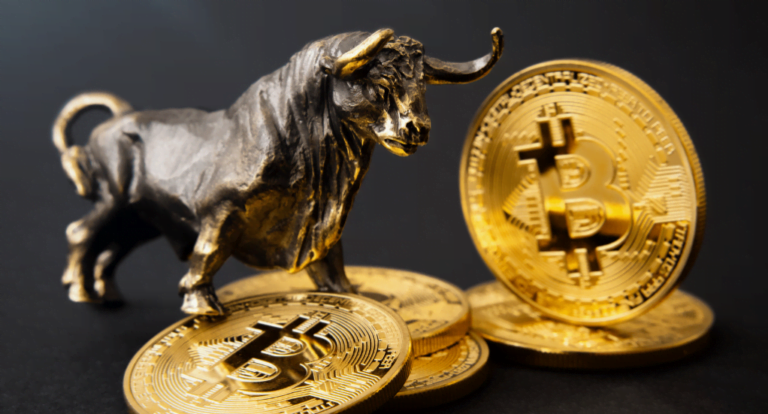 Bitcoin Bull