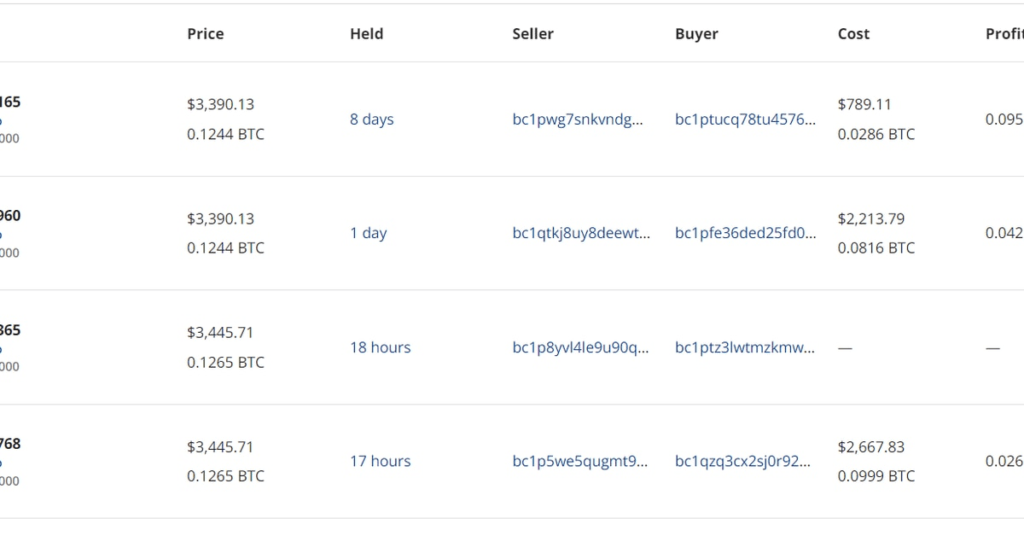 ‘Bitcoin Frogs’ Become Most Traded Nft Amid Bitcoin Ordinals Hype