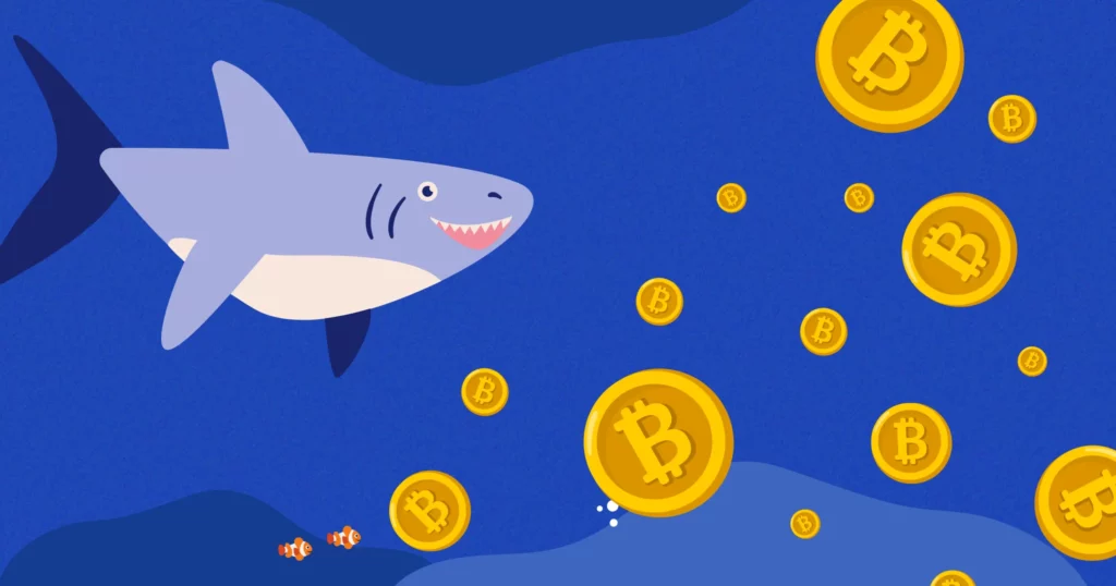 Are Bitcoin And Ethereum Whales Trying To Send A Message? 