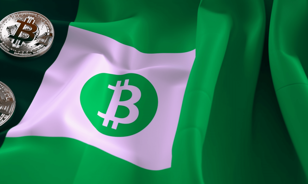 Nigeria Embraces Crypto With Revised Policies – What Now?