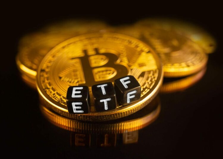 Bitcoin Spot Etf