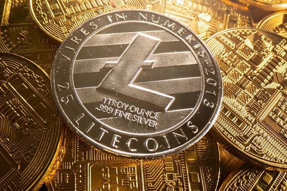 Litecoin Falls 10.69% In Bearish Trade