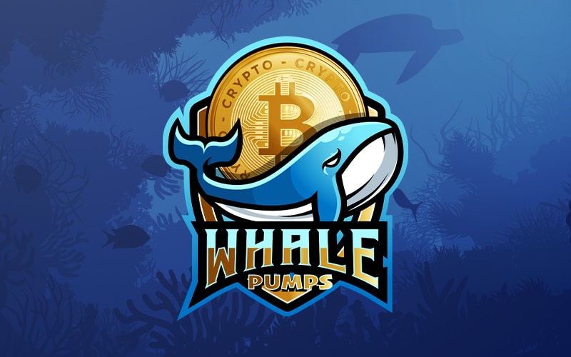 Unlock Crypto Trading Insights With Crypto Whale