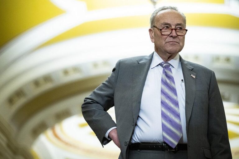 Schumer Carries Water For Crypto