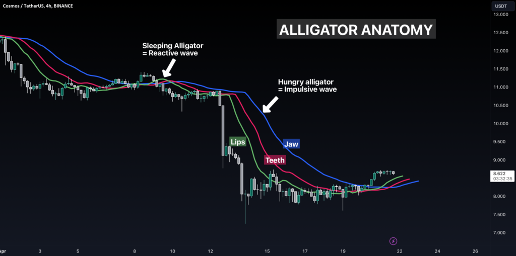 How To Use Williams Alligator Indicator In Crypto Trading? For Binance:atomusdt By Skyrex — Tradingview