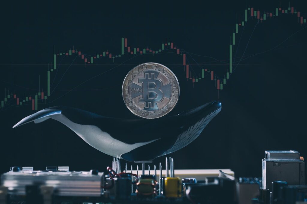 As Bitcoin Plunges, Whale Makes Waves With $77.67M Deposit Into Kraken