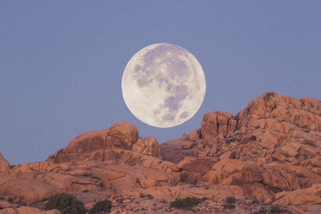 The Super Moon At Sunrise In Joshua Tree