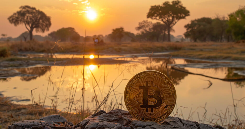 Zimbabwe Launches Study To Map And Regulate Crypto Industry