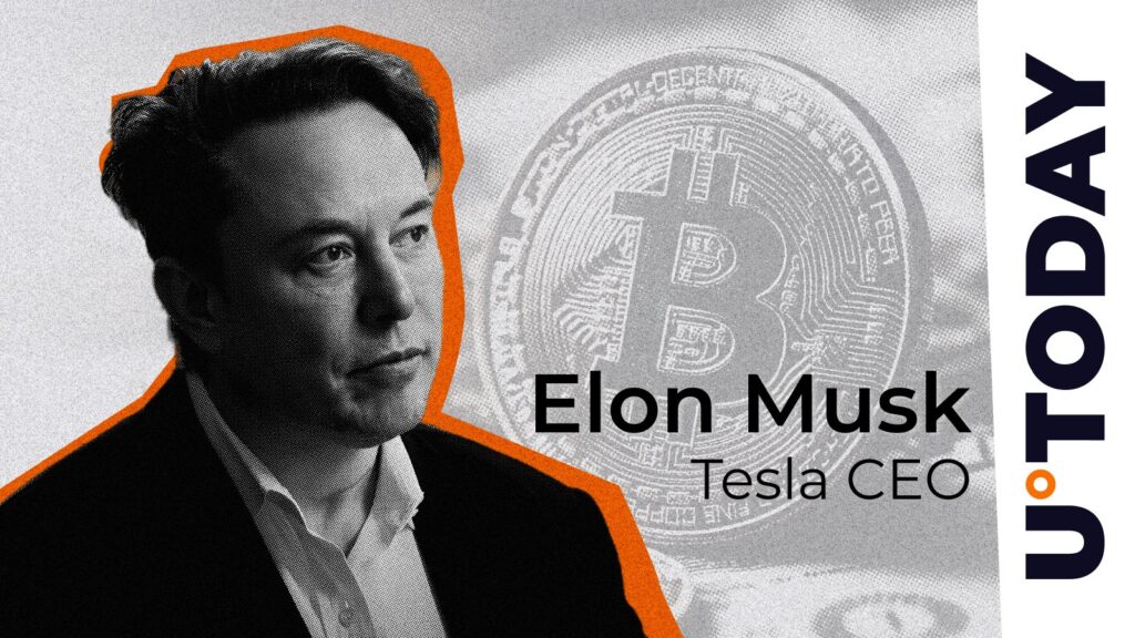 Here'S How Much Bitcoin Elon Musk'S Leading Innovative Company Holds