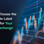 How To Choose The Best White Label Provider For Your Crypto Exchange