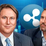 Ripple Ceo Warns Against Robert Stebbins As Gensler'S Replacement