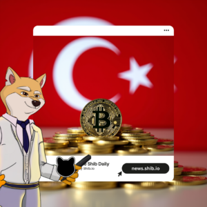 Turkey Unveils Strict Crypto Rules for 2025 – The Shib Daily