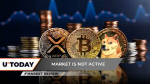 Bitcoin (BTC) Movements Are Irrelevant: Here's Why, XRP Shows Surprising Results, Dogecoin (DOGE) Between Two Flames